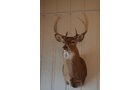 Property photo 190 - REAL ESTATE & PERSONAL PROPERTY AUCTION, 140 Acres offered in 8 Tracts or Combinations in Steuben County